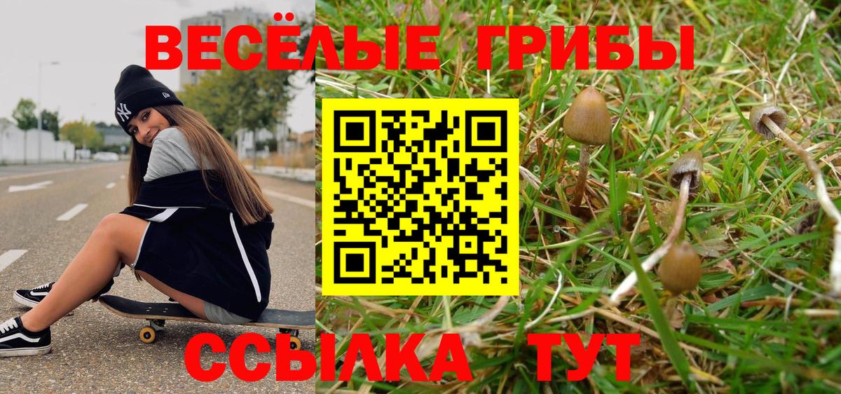 Галлюциногенные грибы ЛСД  Вход с VPN  Королёв 